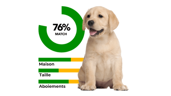 IAMS Puppy Hub Considering a Puppy Breed Finder Image