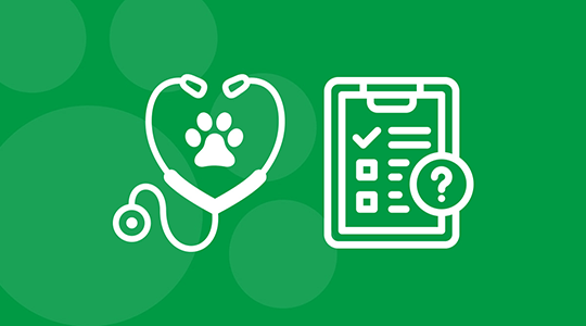 IAMS green banner with vet check up list