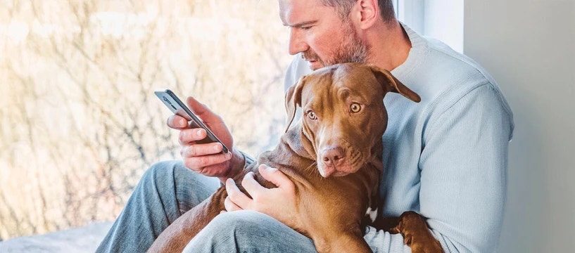 Diarrhea in Dogs: What You Need to Know