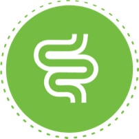 icon for healthy digestion