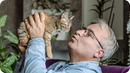 IAMs KittenHub Article4