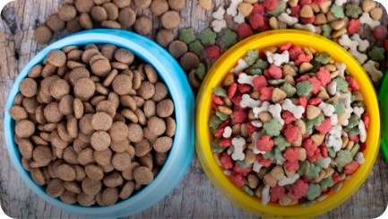 Pick the right dog food