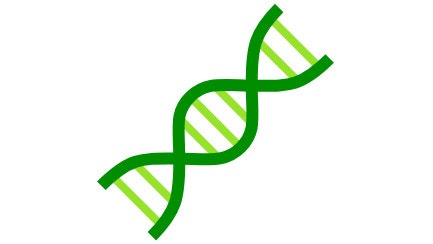 Key Factors Genetics