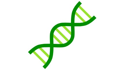 Key Factors Genetics