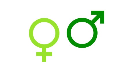 Key Factors Neuter Status