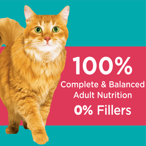 IAMS™ PROACTIVE HEALTH™ INDOOR WEIGHT & HAIRBALL CARE SALMON ADULT DRY CAT FOOD image 1