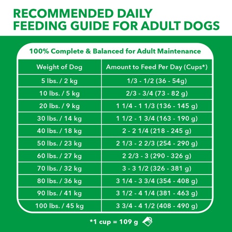 IAMS Proactive Health Sensitive Skin & Stomach Adult Dry Dog Food Salmon & Brown Rice Recipe, 2.04 kg bag image 1