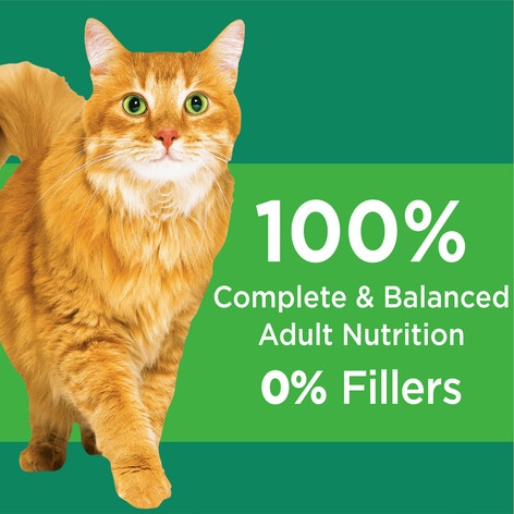 IAMS™ Healthy Senior Dry Cat Food with Chicken image 1