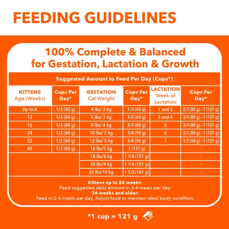 IAMS PROACTIVE HEALTH Healthy Kitten Dry Cat Food with Salmon, 1.59kg Bag image 1