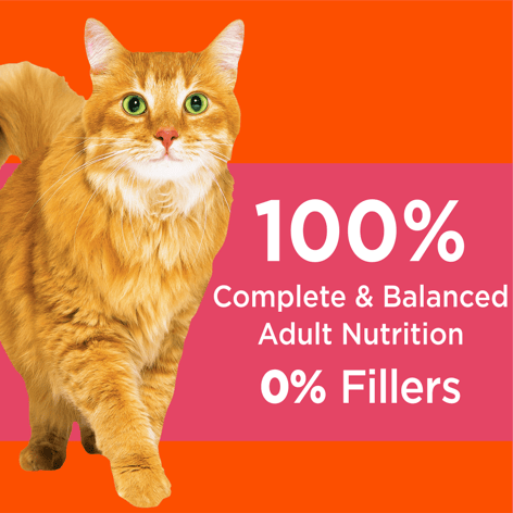 IAMS™ PROACTIVE HEALTH™ Healthy Adult Dry Cat Food with Salmon image 1