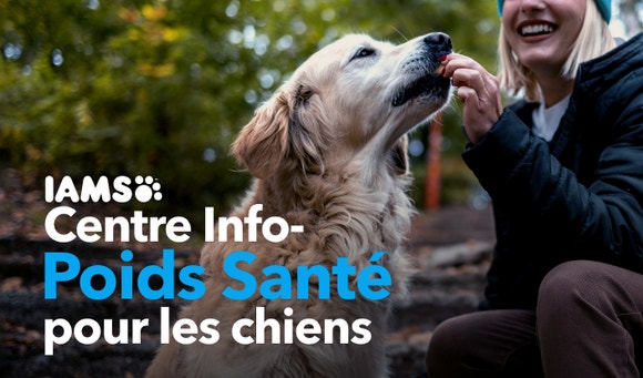 Healthy Weight Dog Hub FR