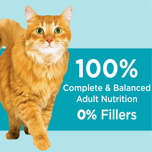 IAMS™ PROACTIVE HEALTH™ INDOOR WEIGHT & HAIRBALL CARE CHICKEN & TURKEY ADULT DRY CAT FOOD image 3