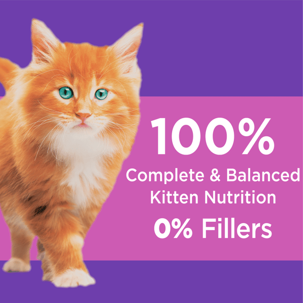 IAMS™ Healthy Kitten Dry Cat Food with Chicken image 3