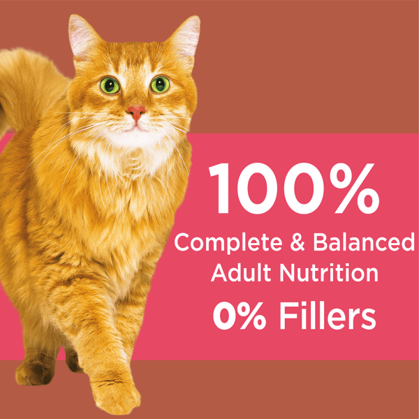 IAMS™ PROACTIVE HEALTH™ HIGH PROTEIN CHICKEN & SALMON ADULT DRY CAT FOOD image 3