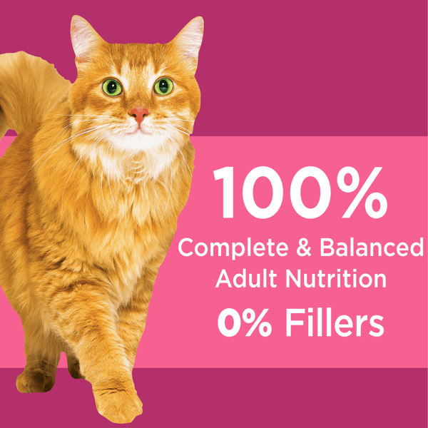 IAMS™ PROACTIVE HEALTH™ URINARY TRACT HEALTH CHICKEN ADULT DRY CAT FOOD image 3