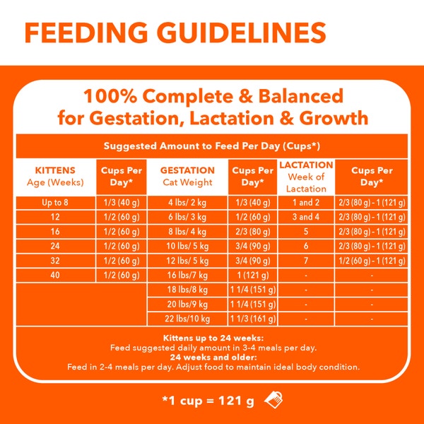 IAMS PROACTIVE HEALTH Healthy Kitten Dry Cat Food with Salmon, 1.59kg Bag image 2