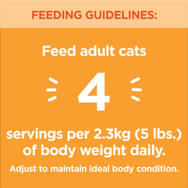 IAMS™ PERFECT PORTIONS™ Adult Wet Cat Food Chicken Cuts in Gravy image 4