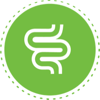 icon for healthy digestion