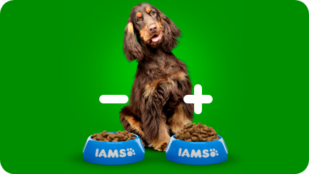 Serving Size Calculator