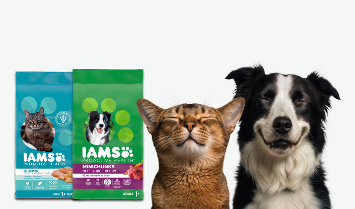 iams dry digestion hub