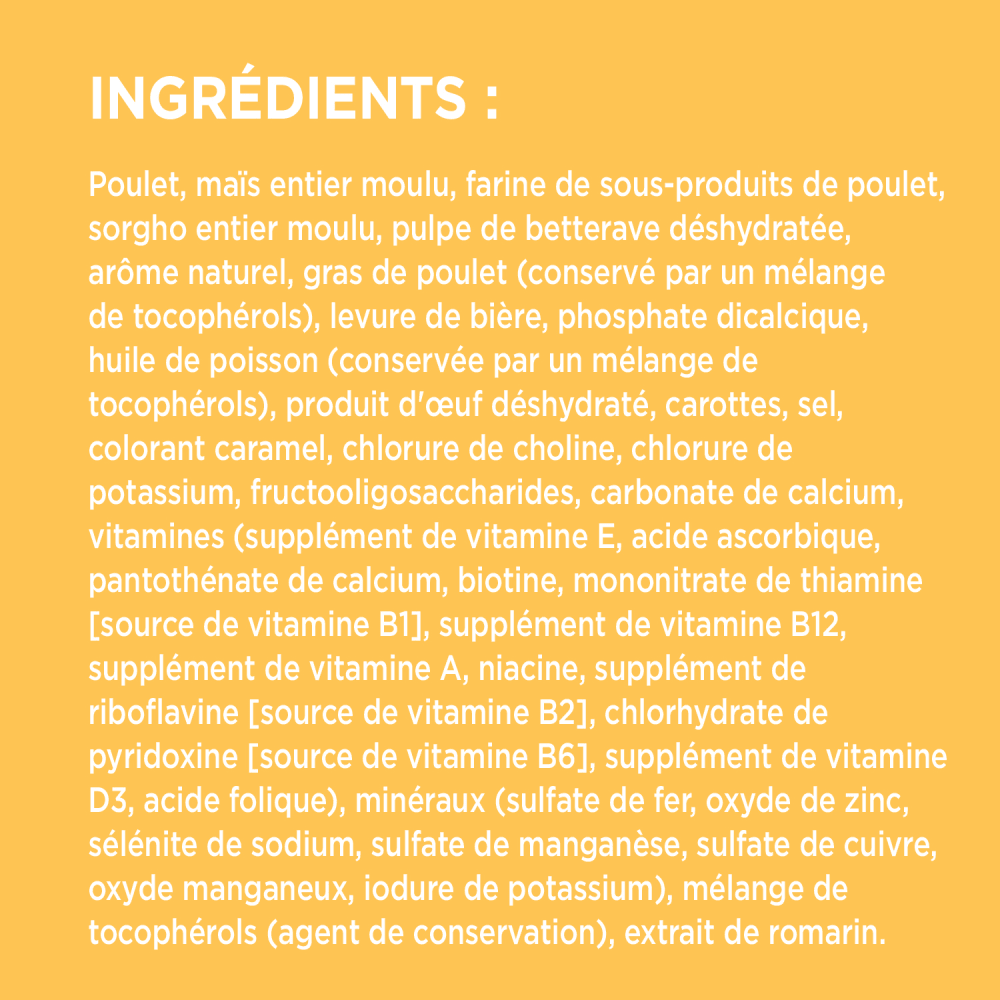 NOURRITURE SÈCHE POUR CHIOTS IAMS(MC) PROACTIVE HEALTH(MC) ingredients image