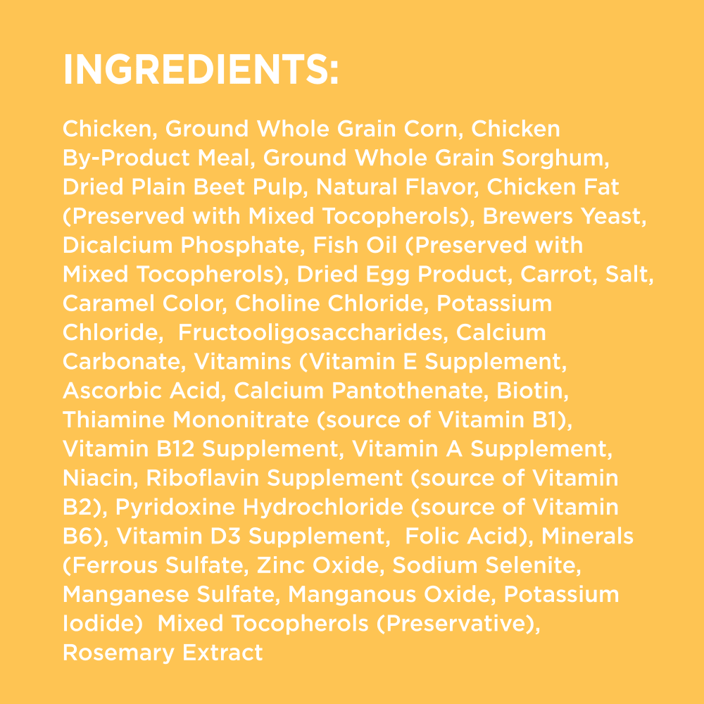 IAMS™ Puppy Dry Dog Food ingredients image