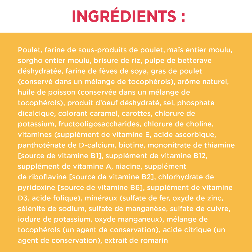 NOURRITURE SÈCHE POUR CHIOTS IAMS(MC) PROACTIVE HEALTH(MC) ingredients image