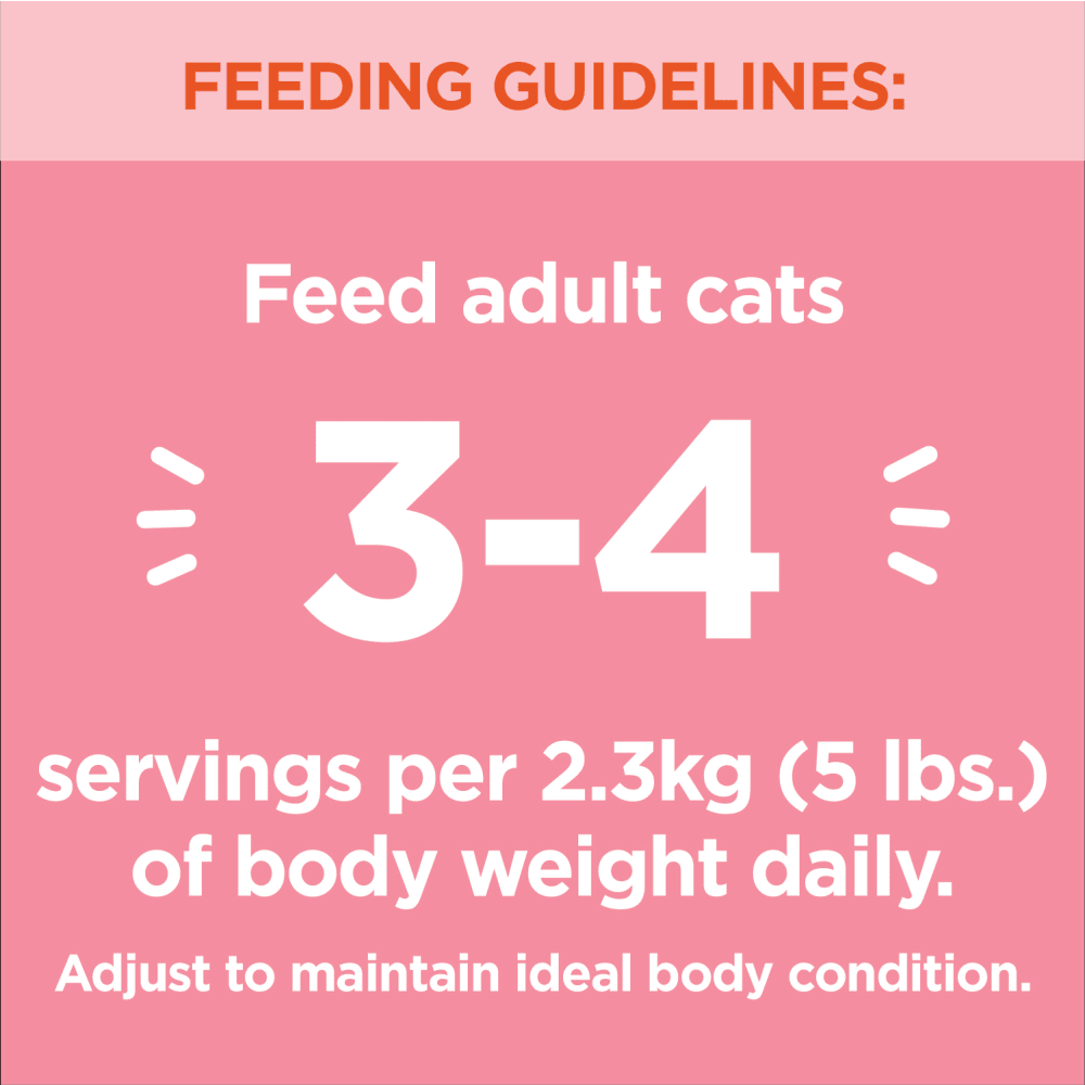 IAMS™ PERFECT PORTIONS™ Healthy Adult Wet Cat Food Salmon Paté feeding guidelines image