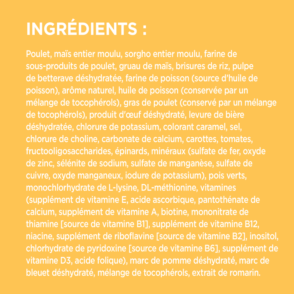 NOURRITURE SÈCHE POUR CHIOTS DE GRANDE RACE IAMS(MC) ingredients image