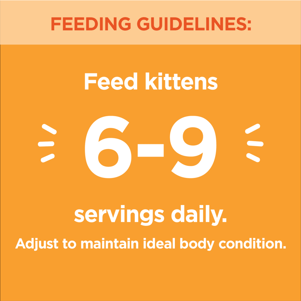 IAMS™ PERFECT PORTIONS™ Kitten Wet Cat Food Chicken Cuts in Gravy feeding guidelines image