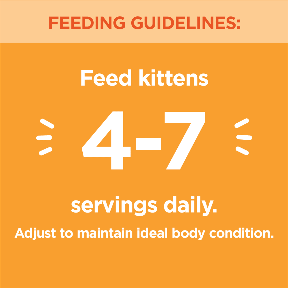 IAMS™ PERFECT PORTIONS™ Healthy Kitten Wet Cat Food Chicken Paté feeding guidelines image