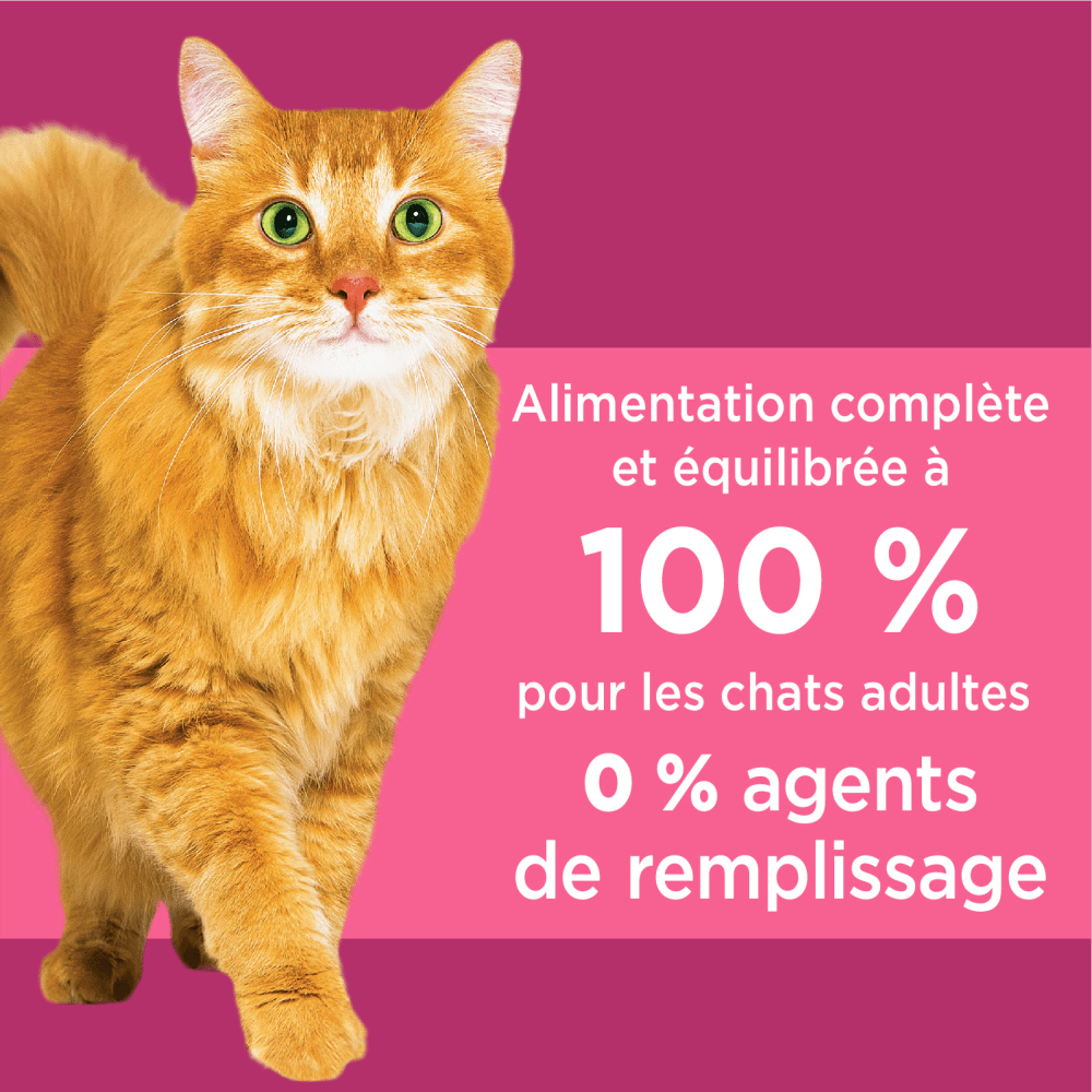 IAMS™ PROACTIVE HEALTH™ URINARY TRACT HEALTH CHICKEN ADULT DRY CAT FOOD