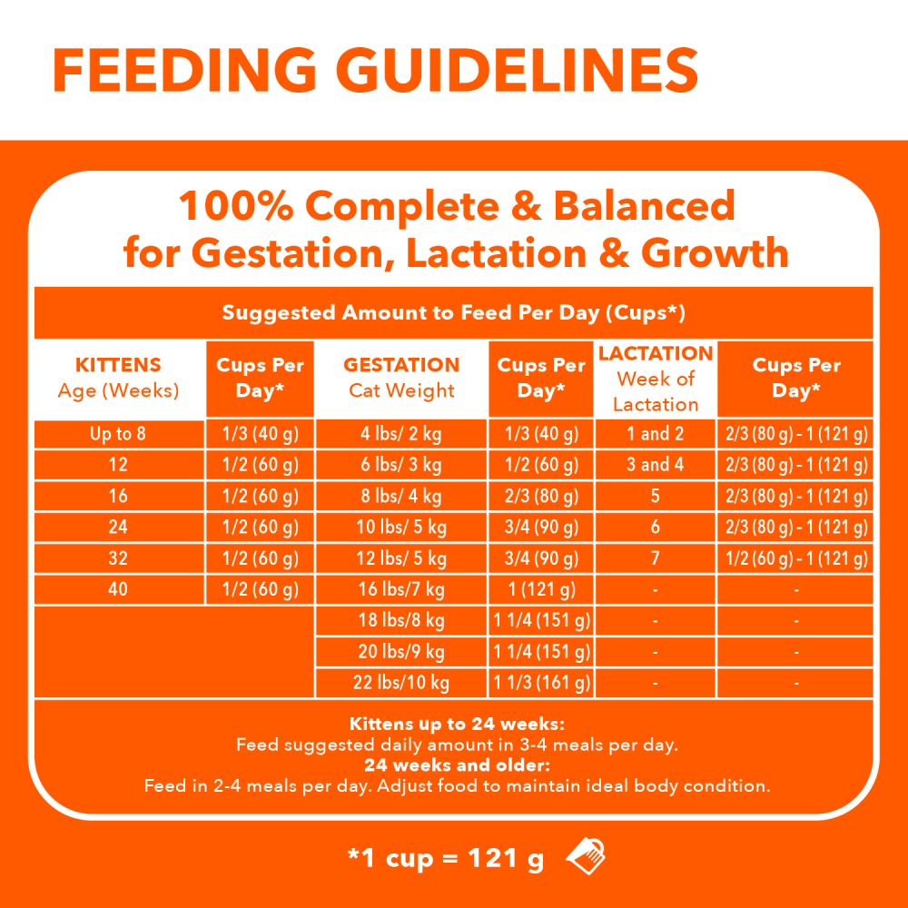 IAMS PROACTIVE HEALTH Healthy Kitten Dry Cat Food with Salmon, 1.59kg Bag feeding guidelines image